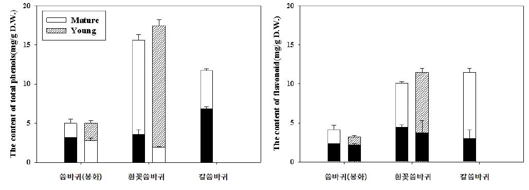 씀바귀의 식물체내 총페놀 및 플라보노이드 함량 변화(∎막대: 뿌리)