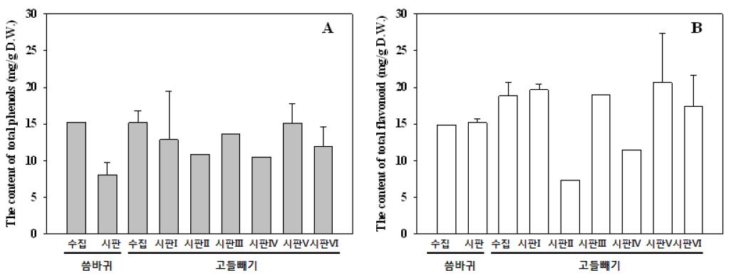 씀바귀 및 고들빼기 어린잎의 total phenol 및 flavonoid 함량