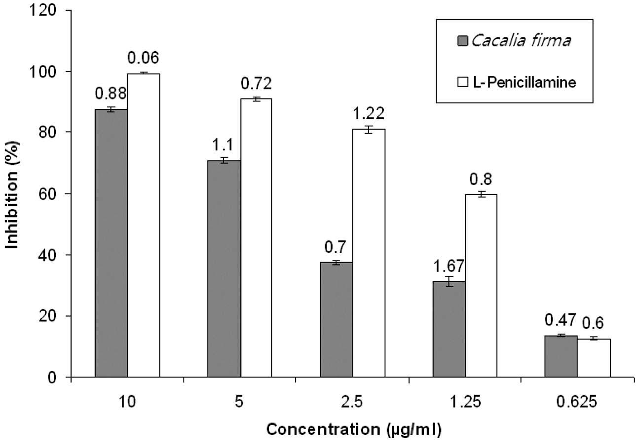 Peroxynitrite-scavenging effect of the MeOH extract of C. firma and L-penicillamine (positive control) ONOO scavenging activity was measured by monitoring the oxidation of DHR 123 as described in materials and methods.