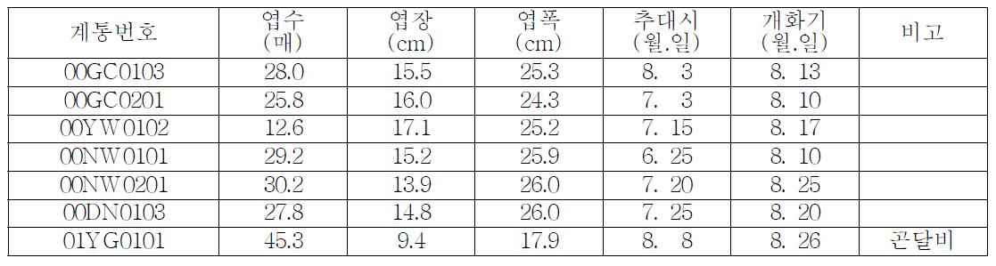 수집 곰취 중 선발계통 특성조사