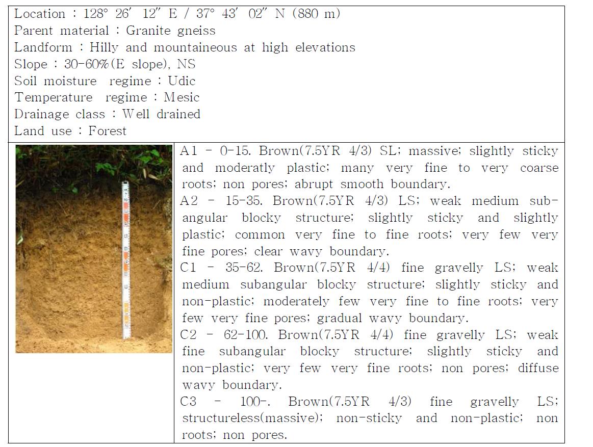 umbric epipedon을 가지지 않은 토양의 단면조사 결과