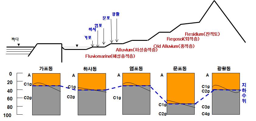 새만금 간척지 토양통별 지하수위