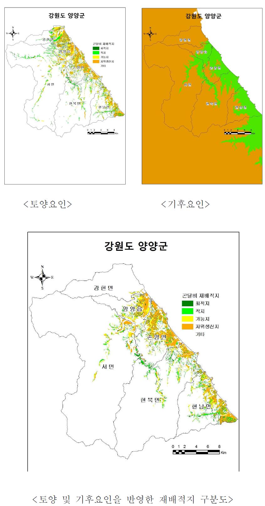 재배적지구분도 (예: 곤달비, 강원 양양군, 2009)