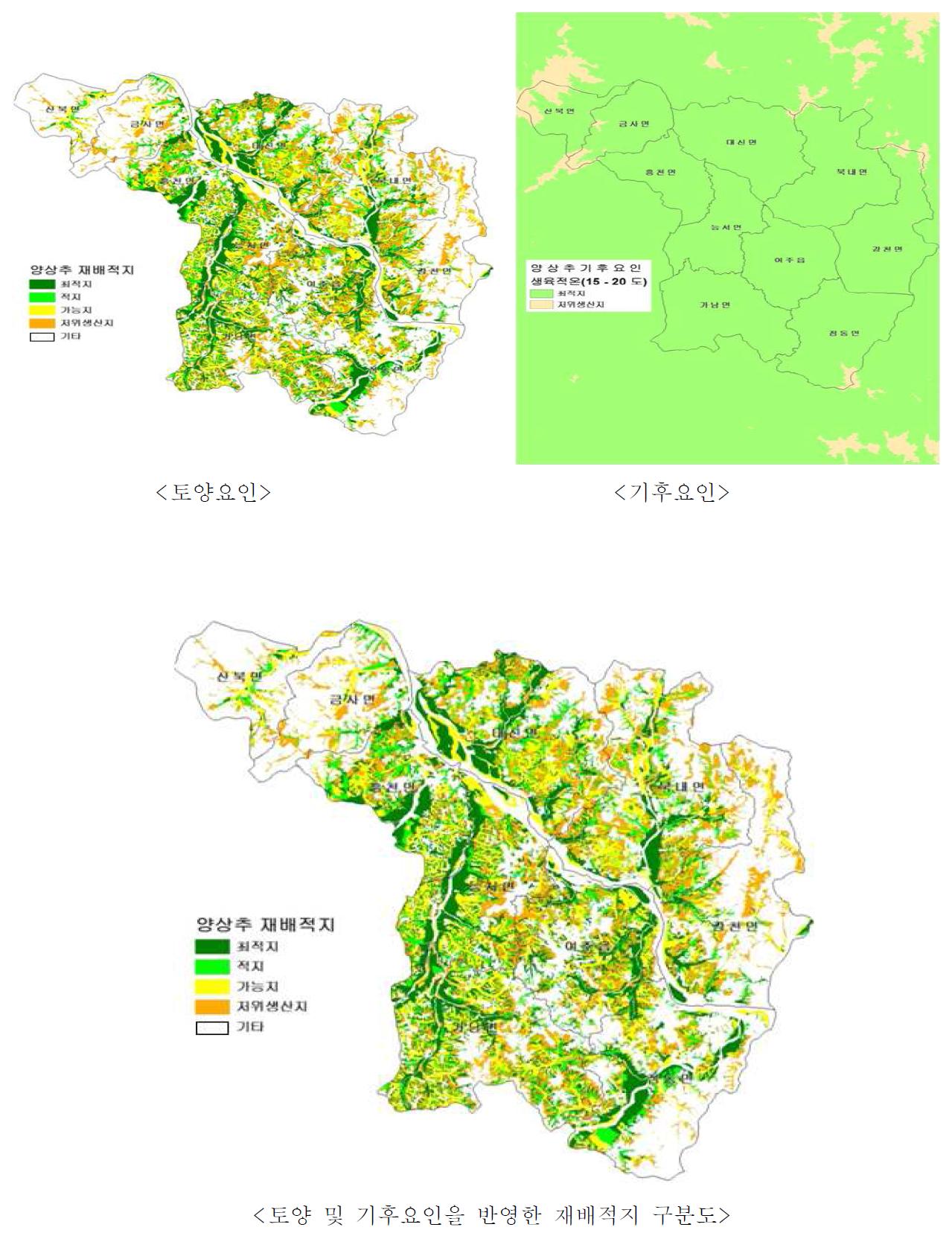 재배적지구분도 (예: 양상추, 경기 여주군, 2010)