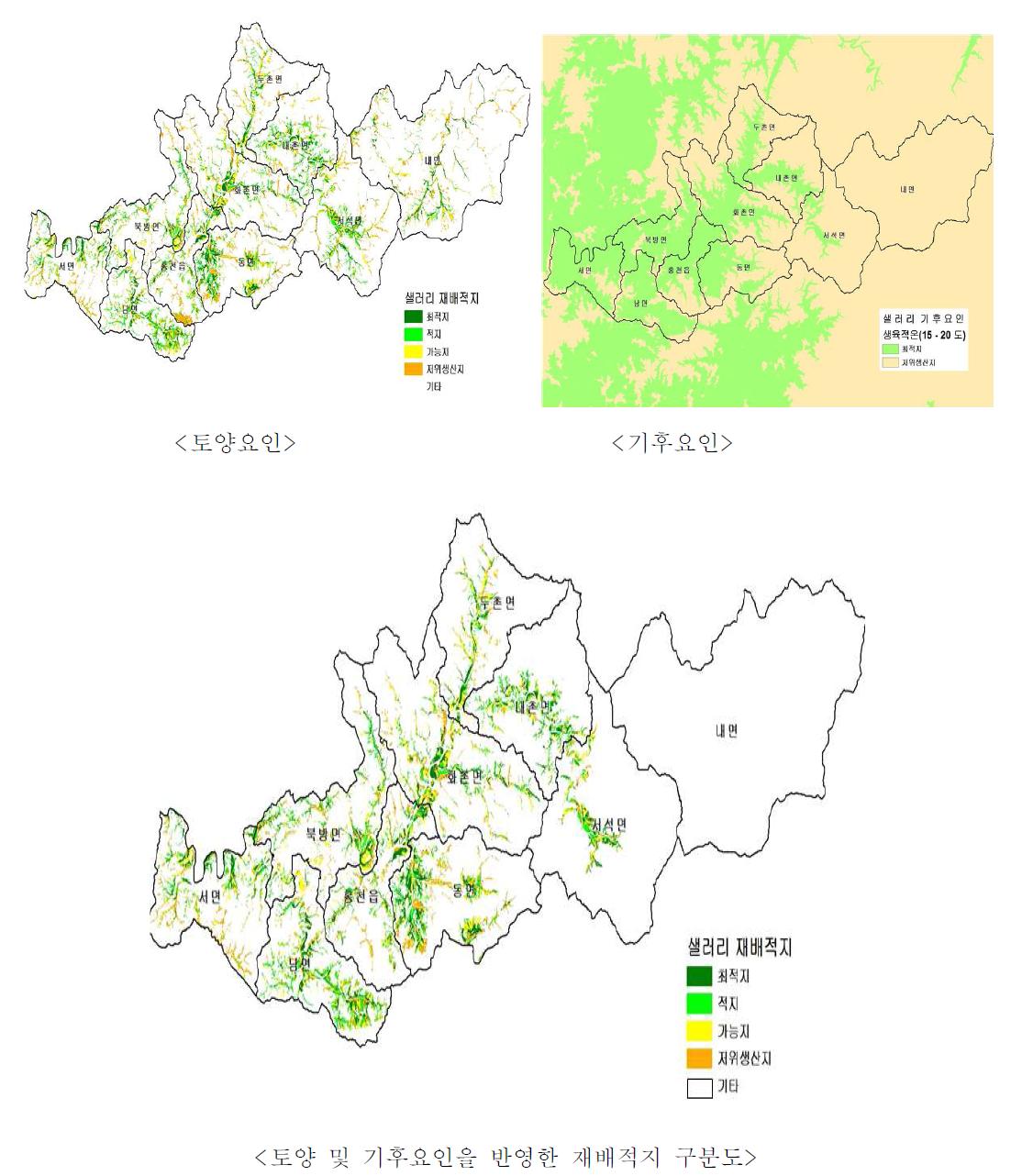 재배적지구분도 (예: 샐러리, 강원 홍천군, 2010)