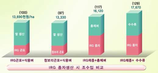 IRG 종자생산 시 조수입 비교