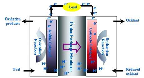Schematic diagram of the structure of an microbial fuel cell