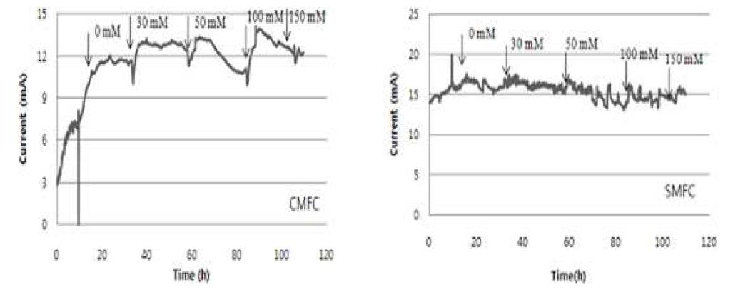 Effect of electrolyte on the current generation.