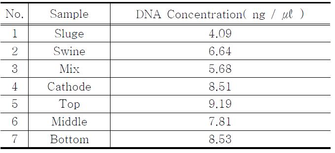 Template concentration of PCRⅠ product after elution