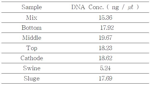 DNA template concentration used DGGE