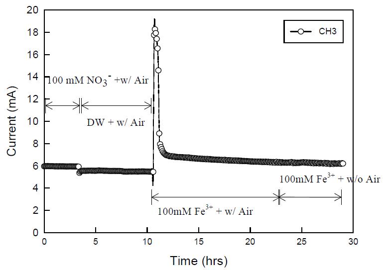Effect of electron acceptor Fe3+.