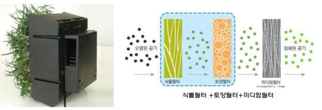 (주)그린와이즈의 식물공기청정기