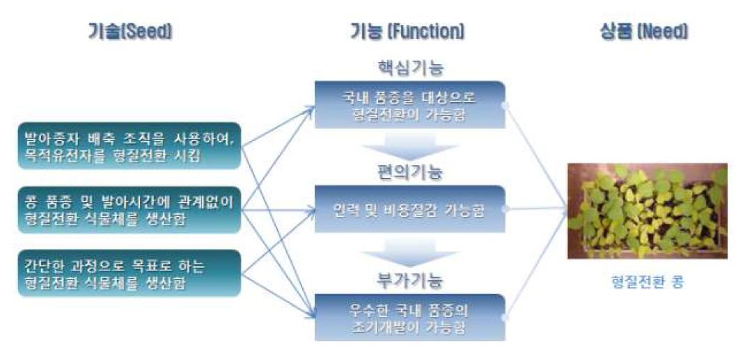 SFN 분석