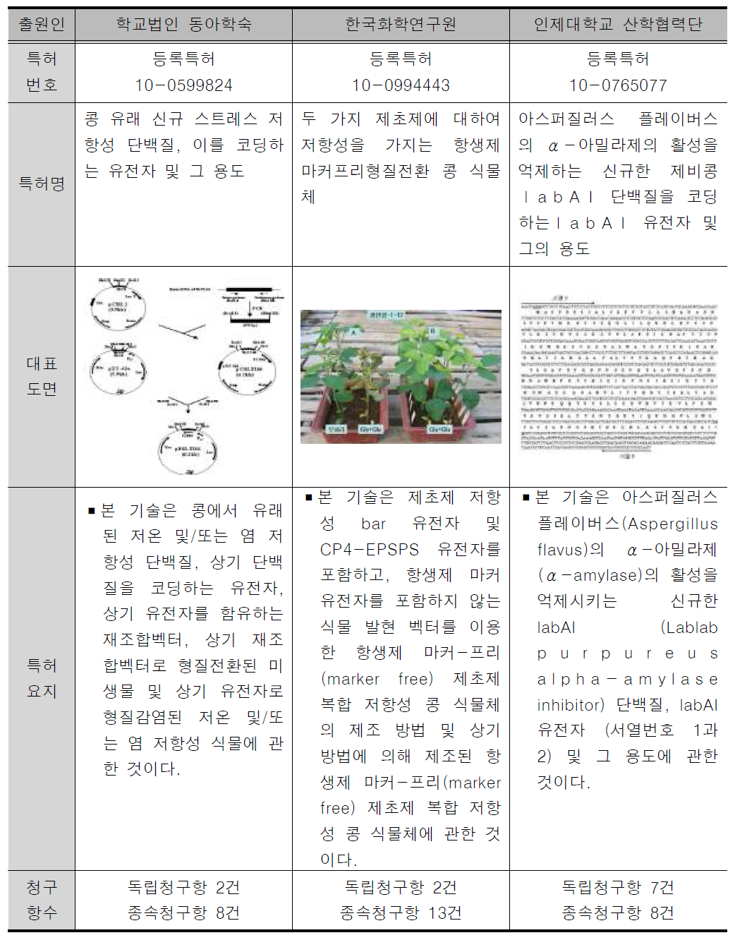 경쟁특허 분석