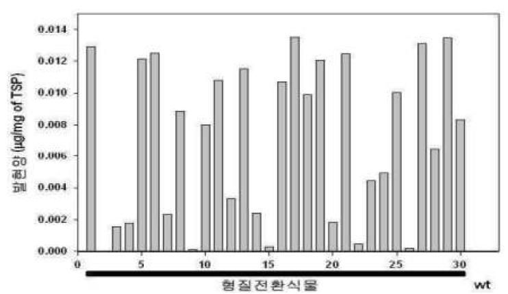 형질전화체에서의 재조합 ‘t-PA’ 발현 결과