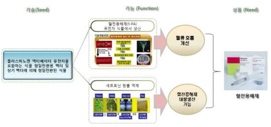 SFN 분석