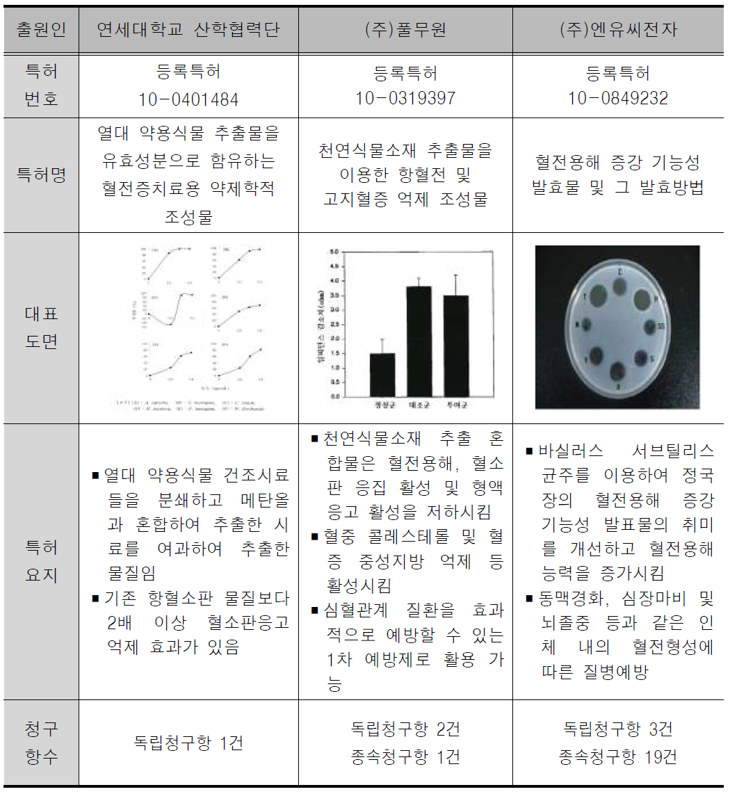 경쟁특허 분석