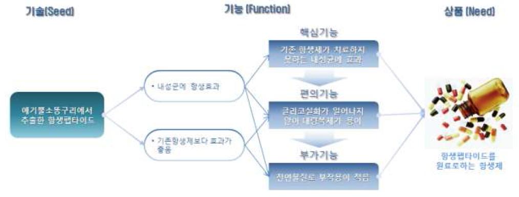 SFN분석