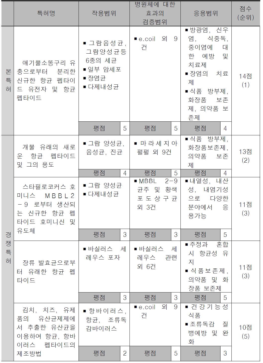 기술 경쟁력 진단