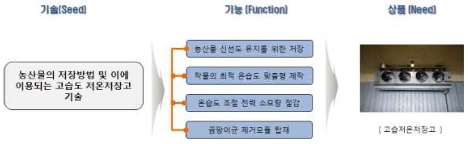 SFN분석