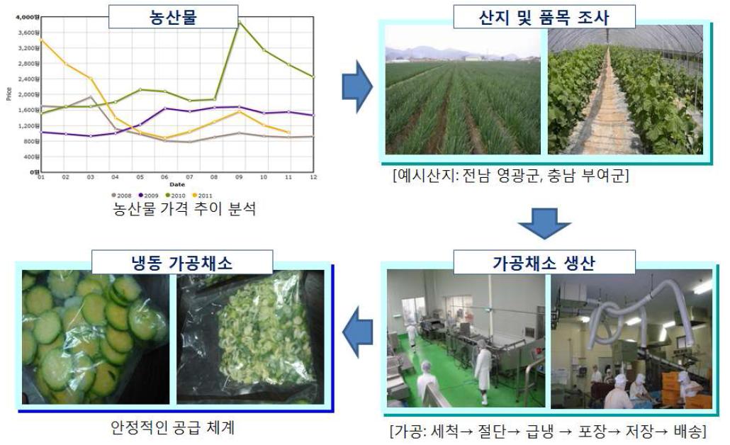 냉동채소 상품화를 위한 추진 프로세스