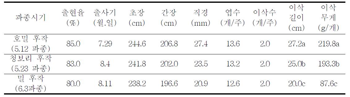 맥종별 옥수수 후작시 생육 특성