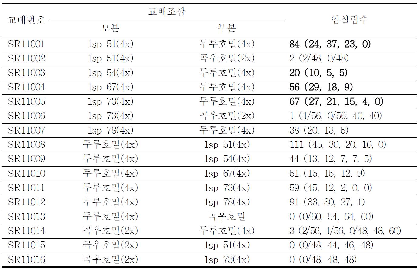 4배체 자식호밀과 두루호밀 또는 곡우호밀과의 정역교배 결과