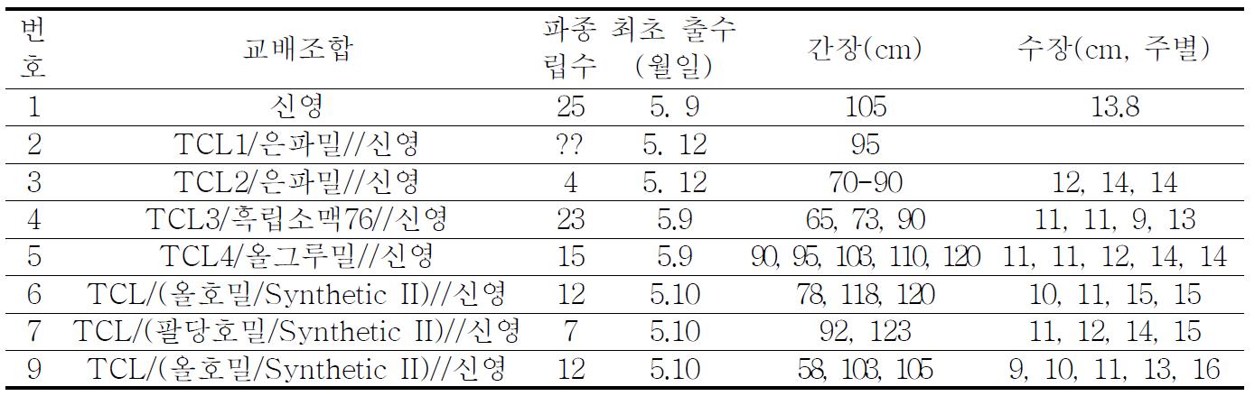 선발한 여교잡 계통의 작물학적 특성