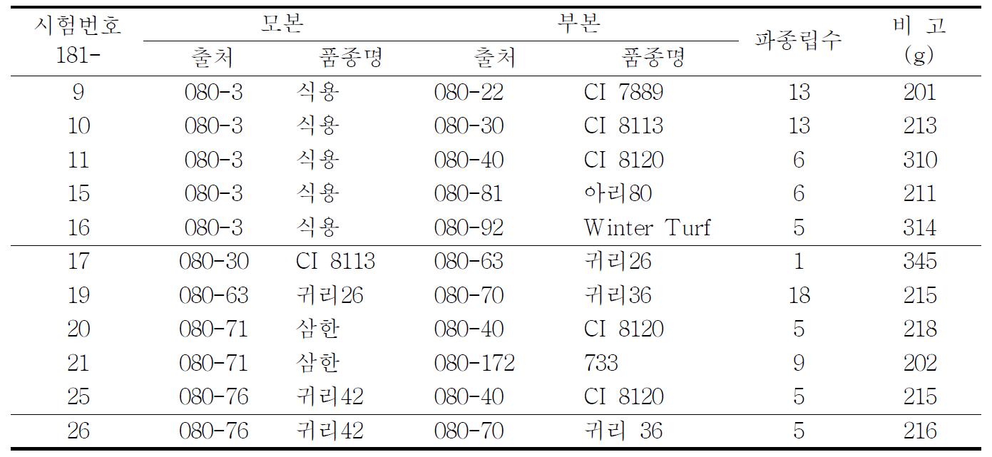 F1 세대에서 선발내용