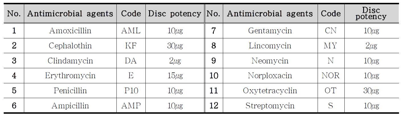 실험에 사용된 항생제 디스크 종류