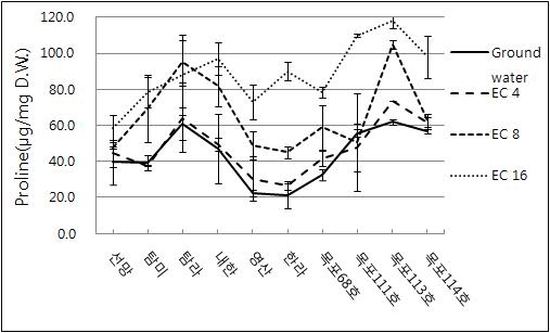 해수 처리에 따른 Proline 축적 변화