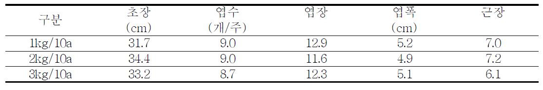 파종량에 따른 생육양상