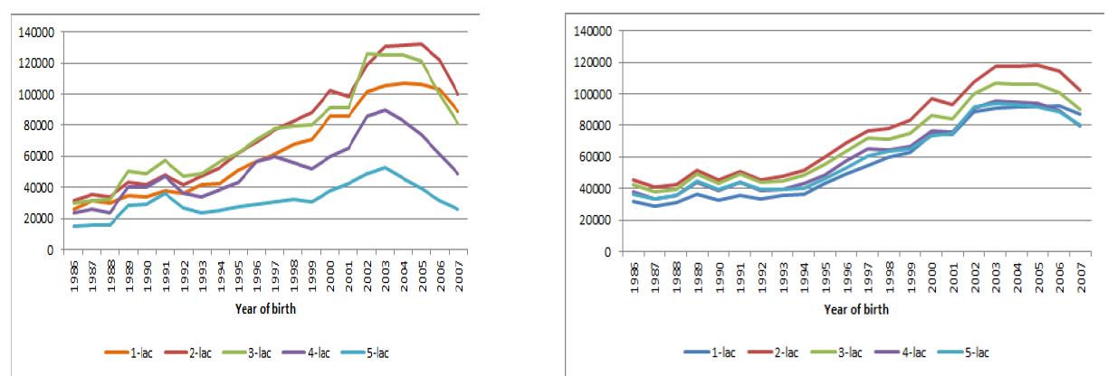 Variation of milk yields by year of birth estimated with adjusted genetic (co)variances