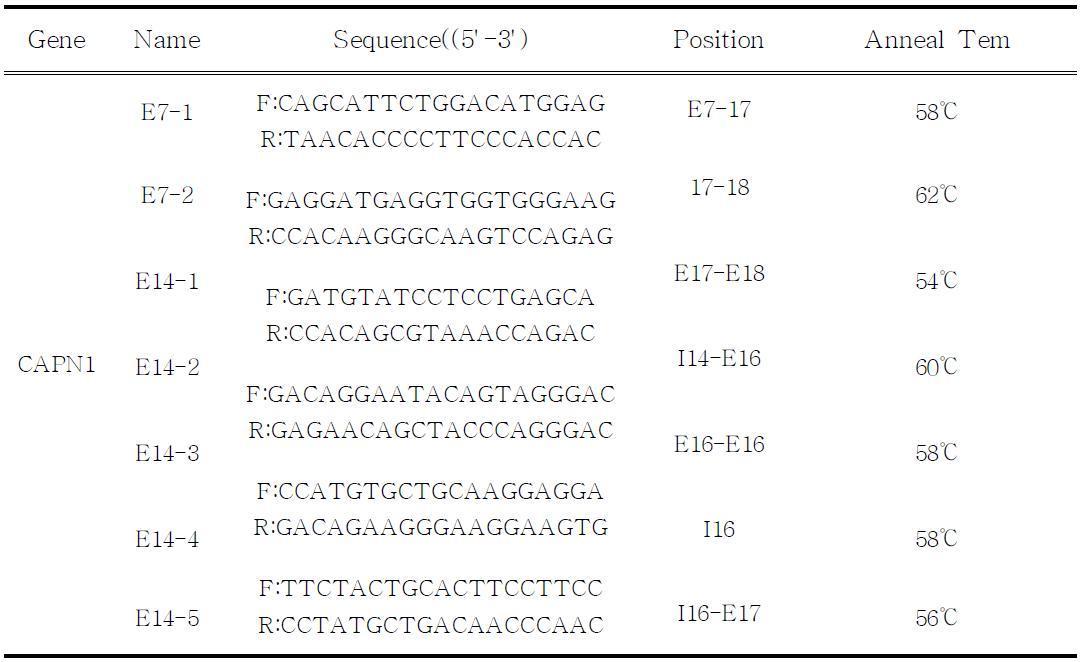 PCR-SSCP primer sequences of CAPN1 gene