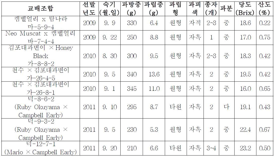 1차 우량계통의 교배조합 및 과실특성