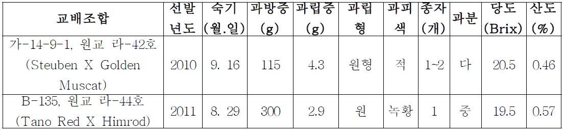 2차 우량계통의 교배조합 및 과실특성