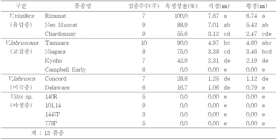 포도 대조품종의 재분양 균주에 대한 저항성 검정(2010. 11. 20 접종)