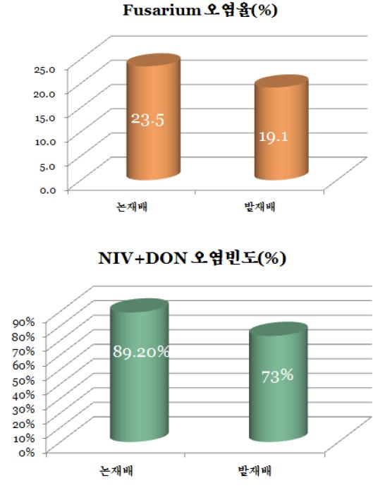 논재배와 밭재배에서의 Fusarium균 오염율과 독소 오염율