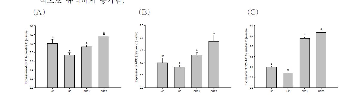 Effect of BRE supplementation on mRNA levels of CPT1A (A), ACO (B), and CYP4A10 (C) in liver of mice that were fed different diets.