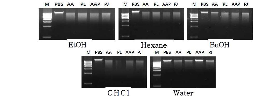 Induction of apoptosis by the Korean wild edible vegetable fractions in A549 cells.