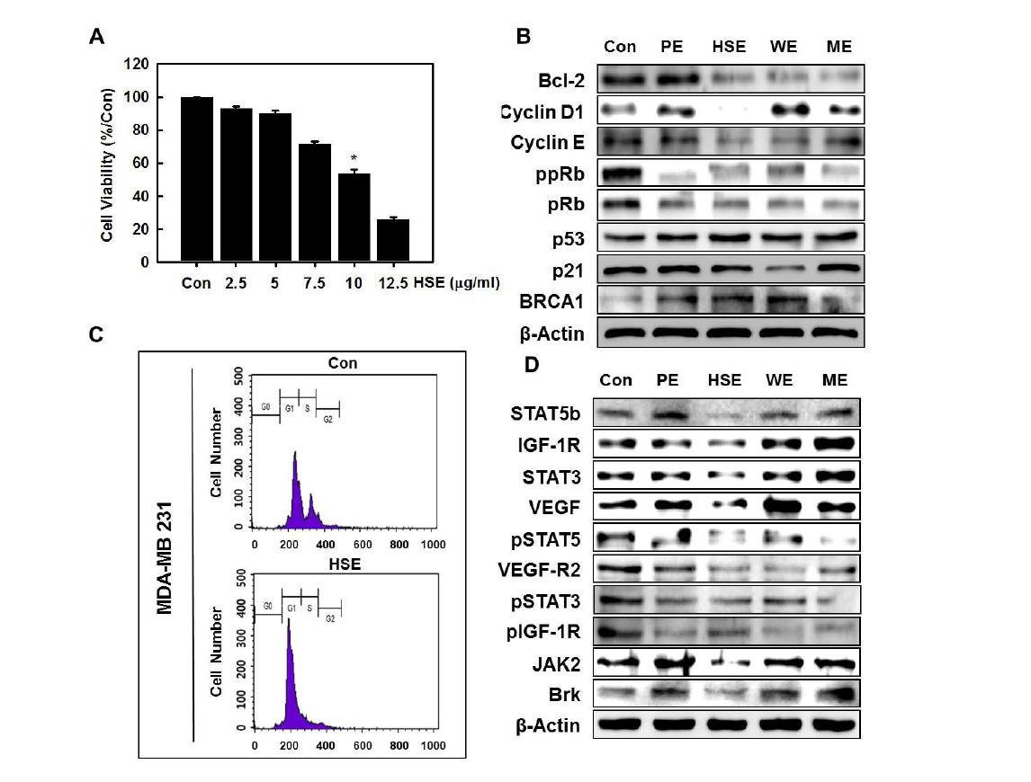 다른 whole grain extracts와 비교, HSE의 세포주기 G1기의 억압 유발 및 종양 억제 단백질의 발현을 유지하고 oncogenic 단백질의 통제를 통한 MBA-MD 231 유방암 세포의 성장을 저해
