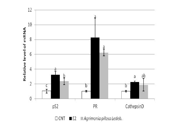 Effect of E2 (1 nM) and Agrimonia pilosa Ledeb.
