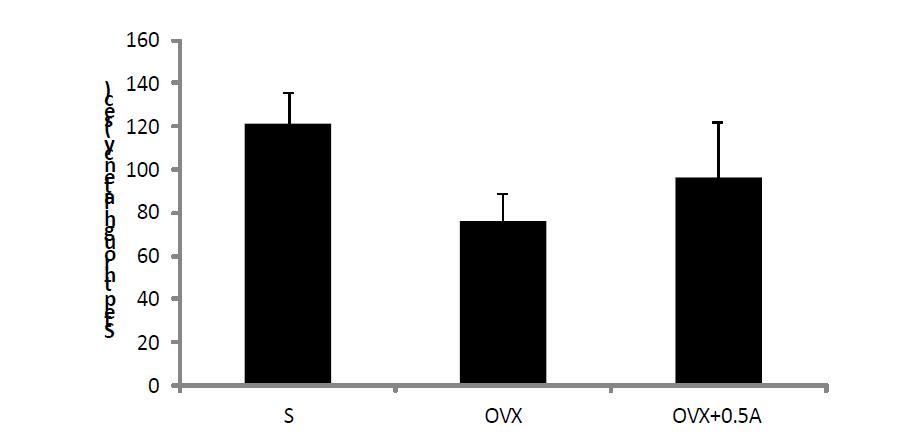 Effect of ovariectomy and Adenophora triphylla var. japonica treatment on passive avoidance performance. Data are expressed as Mean±S.E