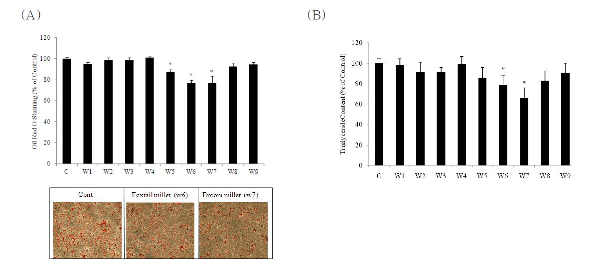 Effects of cereal extracts on adipocyte differentiation in 3T3-L1 cells.