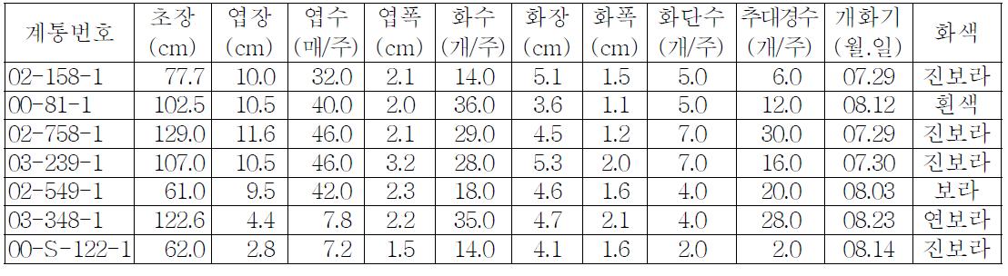 ’08년도 용담선발계통 2년차 조사