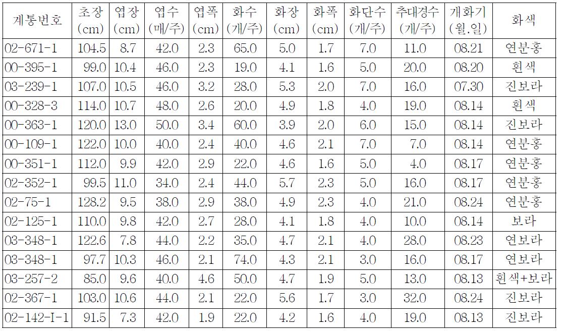 ’09년도 용담 우량선발계통 특성 조사