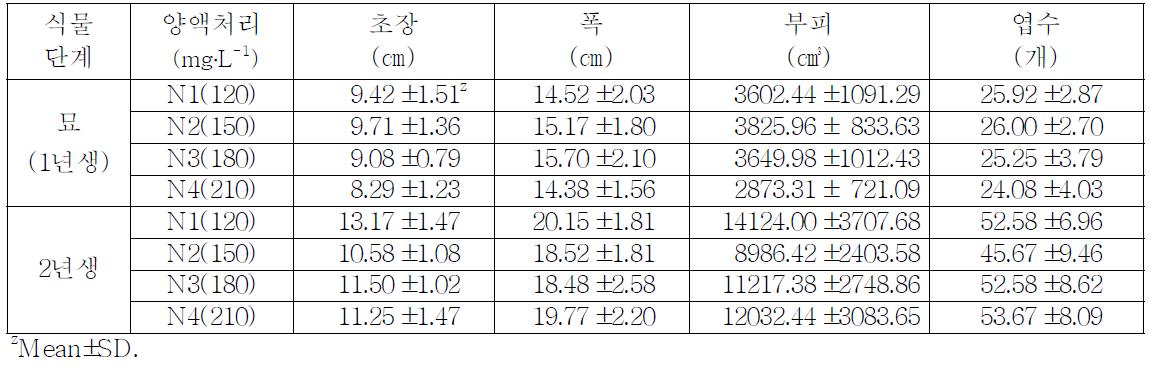 Plant growth Ardisia japonica according to nitrogen concentration(before divide nutrition duration treatment into 2 parts).