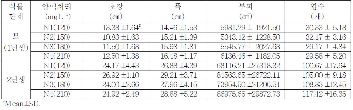 Plant growth Ardisia pusilla according to nitrogen concentration(before divide nutrition duration treatment into 2 parts).