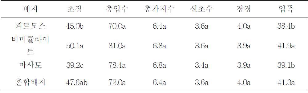 배지종류에 따른 생육 및 왜화효과