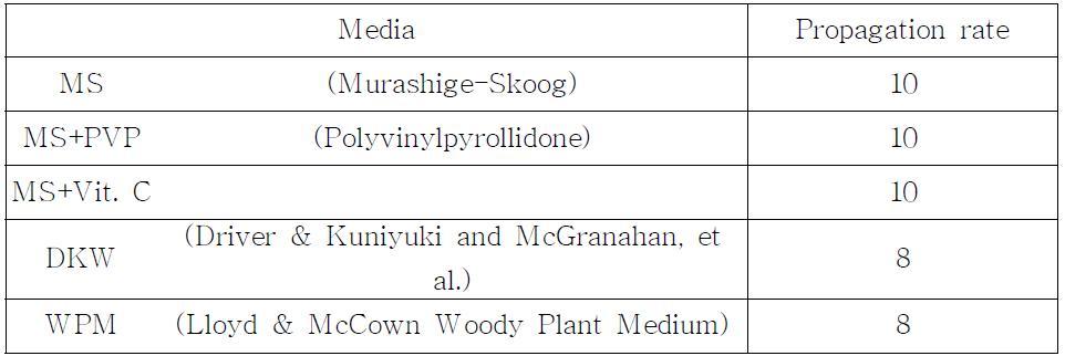배지종류에 따른 조직배양 번식율